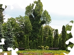 Poznań, Botaniczny, Drzewa, Ogród