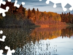 Lasy, Jesień, Jezioro