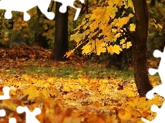 Jesienne, Suche, Drzewo, Liście, Pień