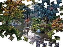 Kamienie, Rzeczka, Park, Rośliny, Drzewa