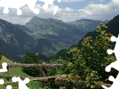 Rośliny, Zagroda, Au Vorarlberg, Austria