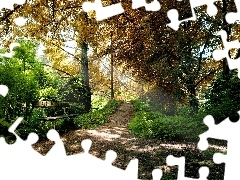 Dróżka, Ławeczka, Las