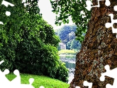 Park, Staw, Pień, Drzewa