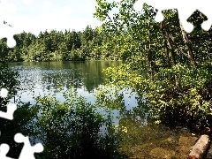 Las, Brzeg, Jezioro