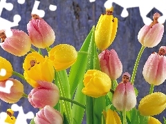Dzieci, Tulipany, Małe