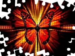 Grafika, Motyl, Pomarańczowo, Czerwony