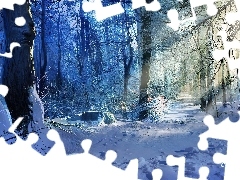 Zima, Światło, Las, Przebijające