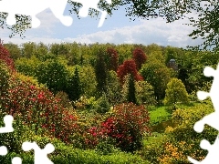 Drzewa, Kolorowe, Park, Krzewy, Altana