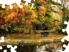 Drzewa, Ławki, Park, Jesień, Rzeka