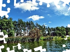 Niebo, Trawy, Pokrzywy, Jezioro, Chmury, Drzewa