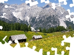 Szopy, Góry, Łąka