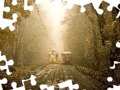 Mgła, Drzewa, Tramwaje, Szyny