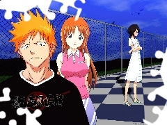 ludzie, ogrodzenie, Bleach