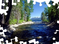 Tahoe, Zalesione, Brzegi, Zatoczka, Kalifornia, Jeziora