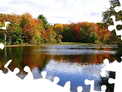 Lasy, Jezioro