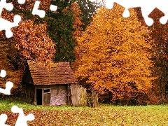 Jesień, Liście, Las, Domek