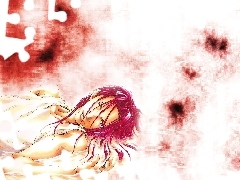 krew, plamy, Saiyuki, czerwone