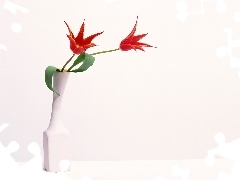 Wazonik, Biały, Dwa, Tulipany