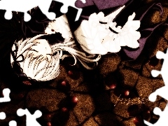 kobieta, sen, Rozen Maiden