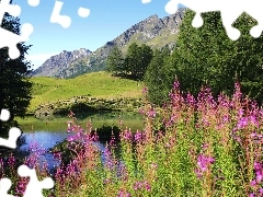 Góry, Drzewa, Jeziorko, Kwiatki
