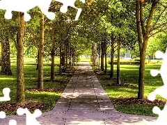 Alejka, Drzewa, Park