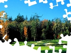 Las, Pole Golfowe