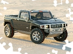 Pustynia, Hummer