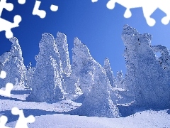Śnieg, Drzewa