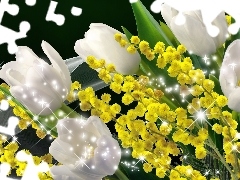 Światła, Refleksy, Białe, Art, Tulipany