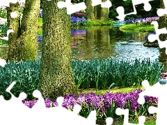 Keukenhof, Rzeka, Kwiaty, Park, Holandia, Lato