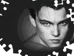 ciemne włosy, Leonardo DiCaprio