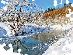 Rzeka, Zima, Las