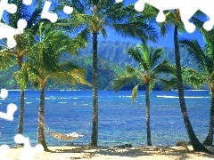 Palmy, Woda, Hawaje, Hamak, Kauai