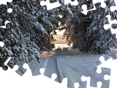 Ścieżka, Śnieg, Las