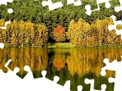 Odbicie, Jezioro, Las, Drzewa