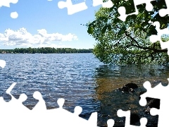 Lato, Drzewo, Jezioro, Pochylone