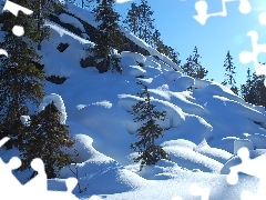 Zbocze, Drzewka, Zima