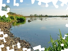 Plaża, Drzewa, Jezioro