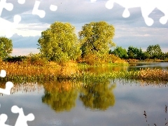 Trzciny, Jezioro, Wiosna