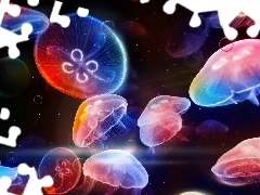 Meduzy, Ocean