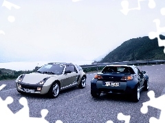 Dwa Smarty Roadster