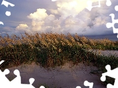 Krajobraz
