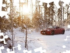 Światło, Las, Jaguar, Zima, Cabrio