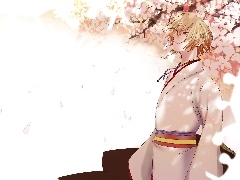 Płaszcz, Człowiek, Hakuouki , Shinsengumi Kitan
