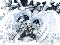 Wojownik, Bleach, Znaki