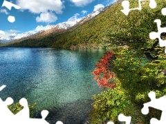 Argentyna, Drzewa, Jezioro, Góry