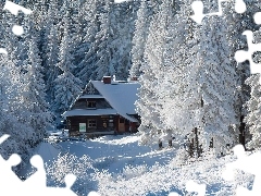 Schronisko, Zima