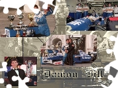 Damon Bill , puchary, Formuła 1