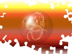 Shenron, smok, DB