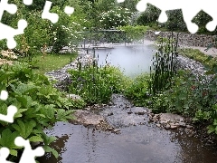 Ogród, Kwiaty, Mostek, Krzewy